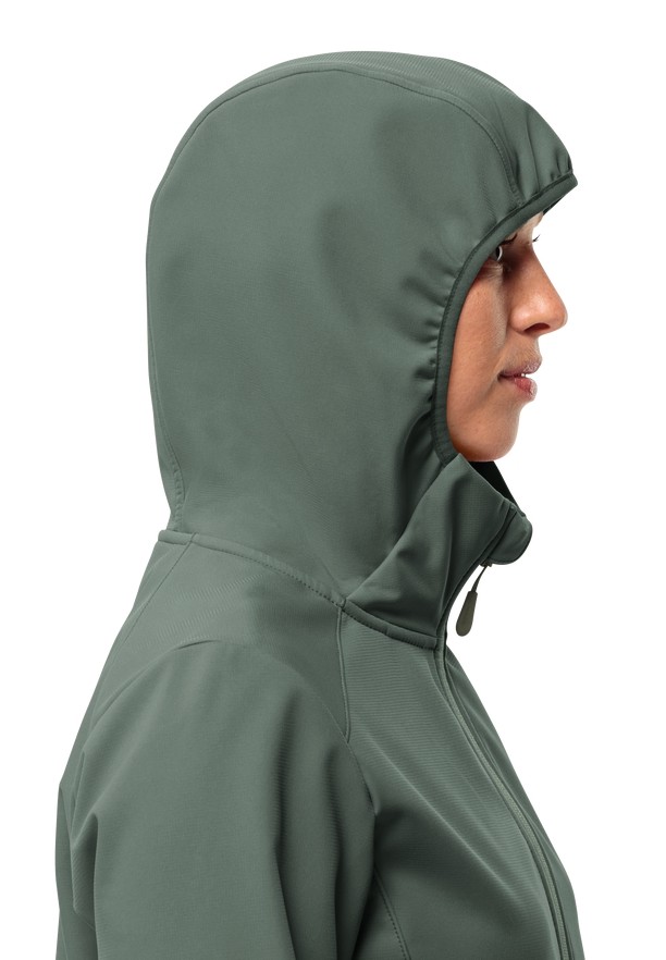 Jack Wolfskin Bornberg Hoody Softshell Jas Dames Groen | 17046882