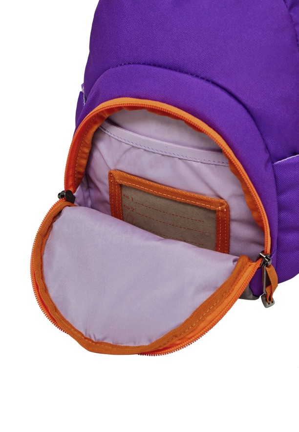 Jack Wolfskin Buttercup Rugzakken Heren Roze | 91340039