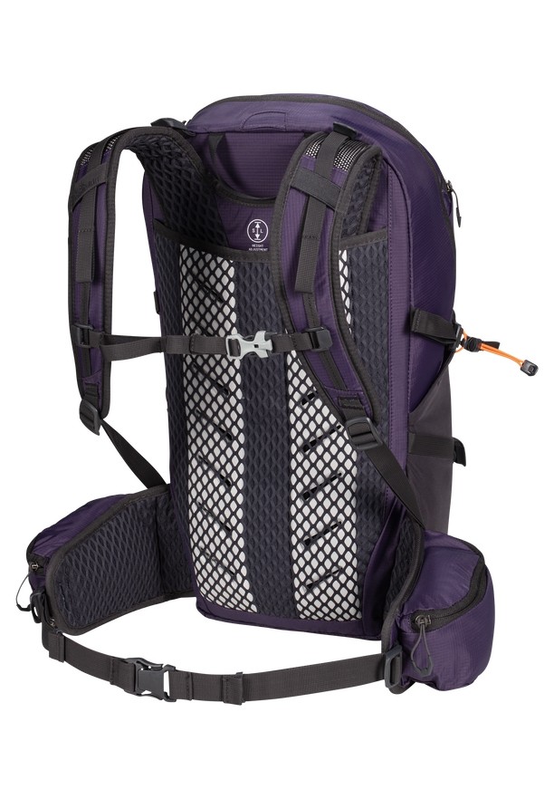 Jack Wolfskin Cyrox Shape 25 S-l Wandelrugzak Heren Paars | 91147519