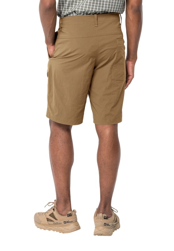 Jack Wolfskin Desert Korte Broek Heren Bruin | 69968616