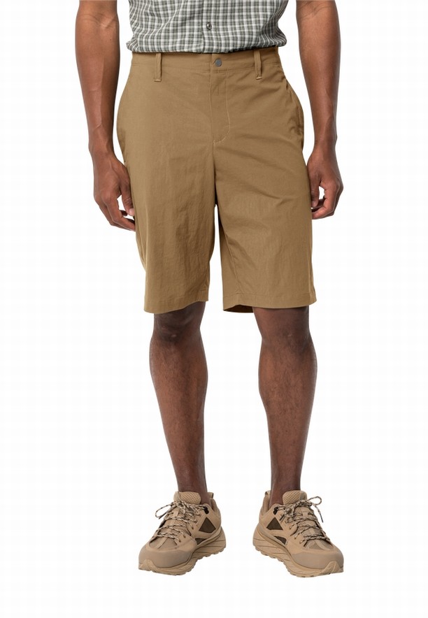 Jack Wolfskin Desert Korte Broek Heren Bruin | 69968616