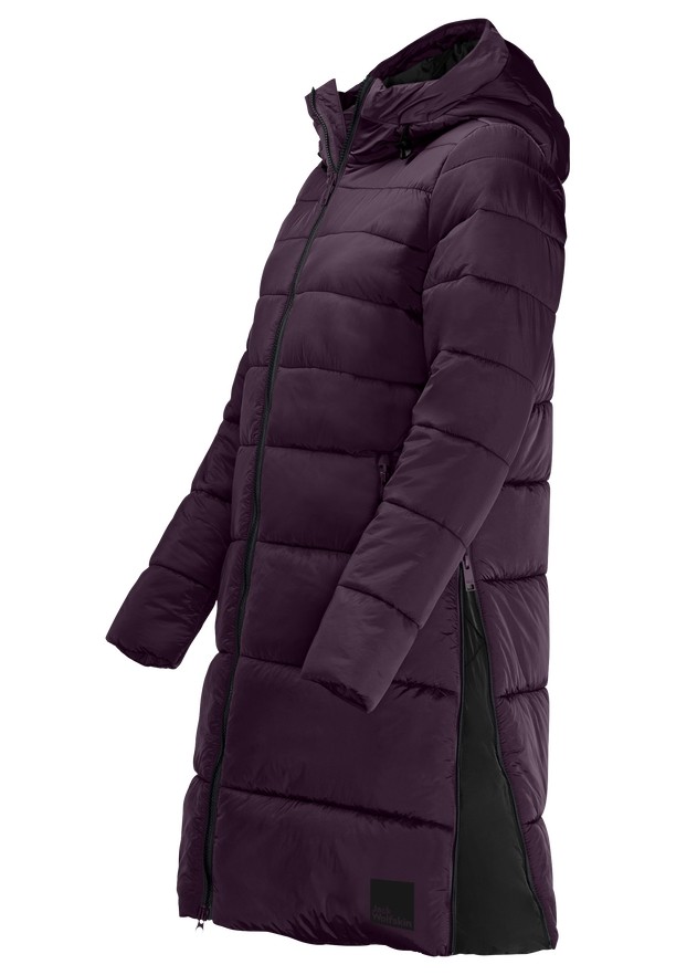 Jack Wolfskin Eisbach Jassen Dames Paars | 98347363