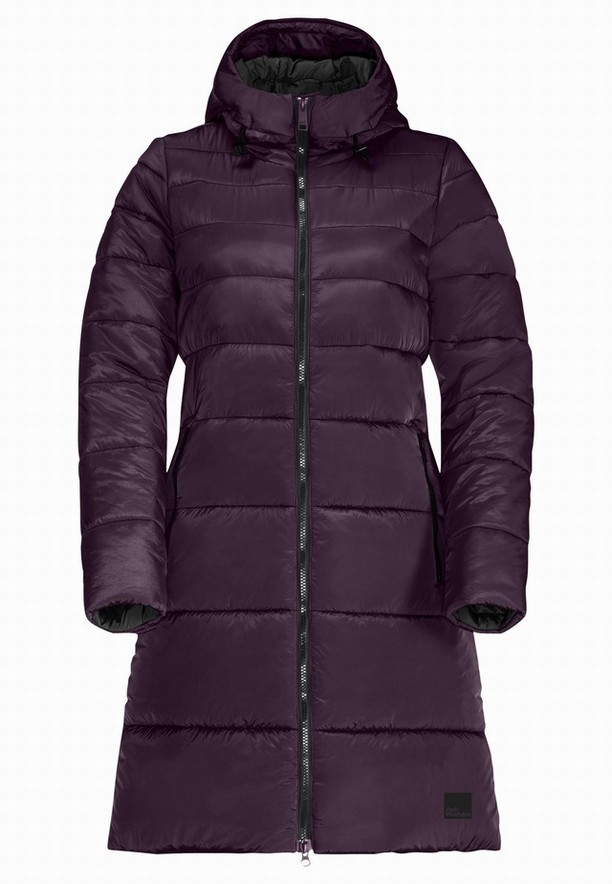 Jack Wolfskin Eisbach Jassen Dames Paars | 98347363