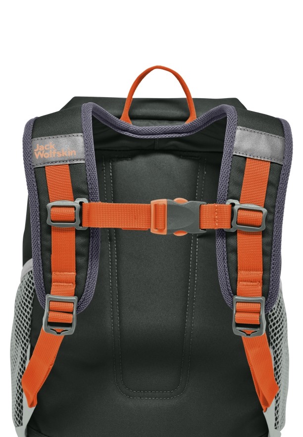 Jack Wolfskin Erlebnis Rugzakken Dames Grijs | 79154981