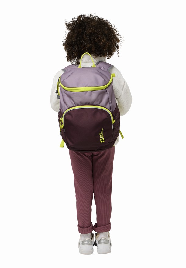 Jack Wolfskin Erlebnis Rugzakken Heren Lavendel | 83412944