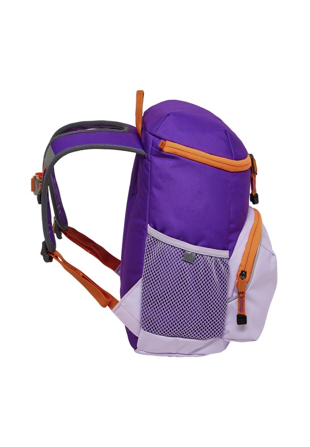 Jack Wolfskin Erlebnis Rugzakken Heren Roze | 95447604