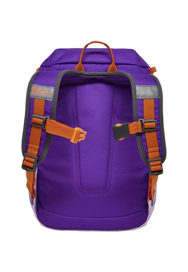 Jack Wolfskin Erlebnis Rugzakken Heren Roze | 95447604