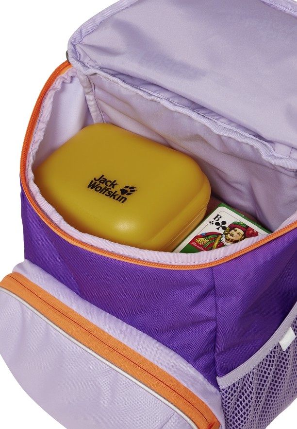 Jack Wolfskin Erlebnis Rugzakken Heren Roze | 95447604