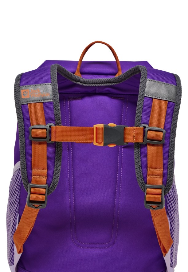 Jack Wolfskin Erlebnis Rugzakken Heren Roze | 95447604
