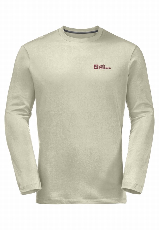 Jack Wolfskin Essential Longsleeve T-shirts Heren Grijs | 53818046