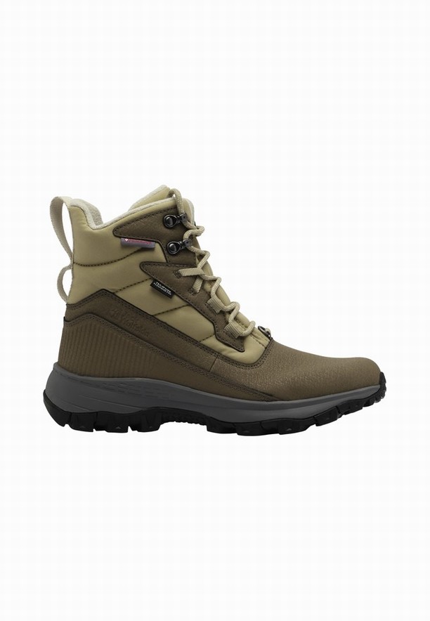 Jack Wolfskin Everquest Pro Texapore High Winterlaarzen Dames Olijfgroen | 11575368