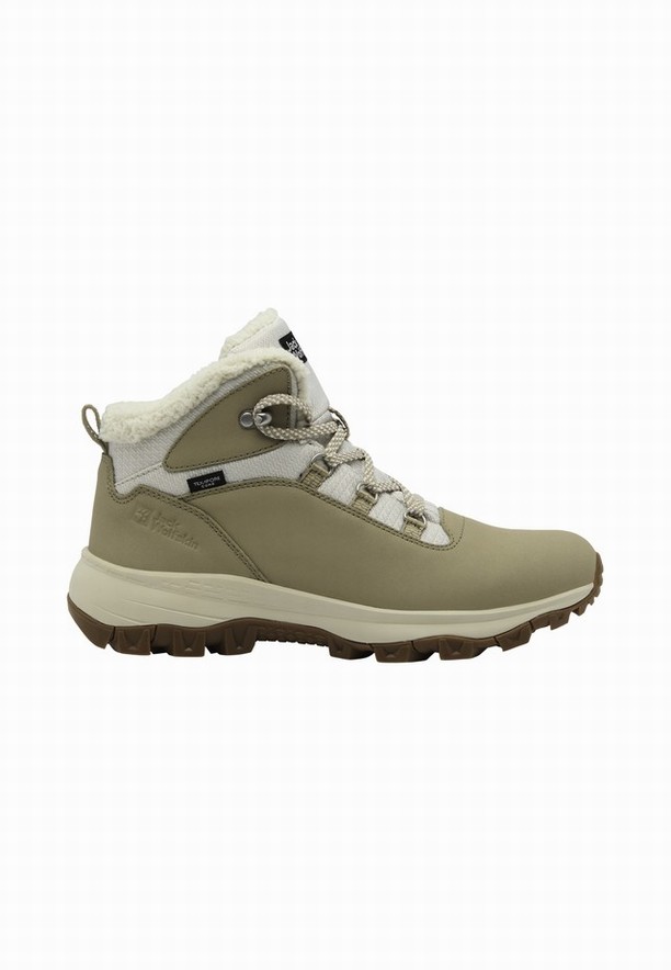 Jack Wolfskin Everquest Texapore Mid Winterschoenen Dames Olijfgroen | 17779718