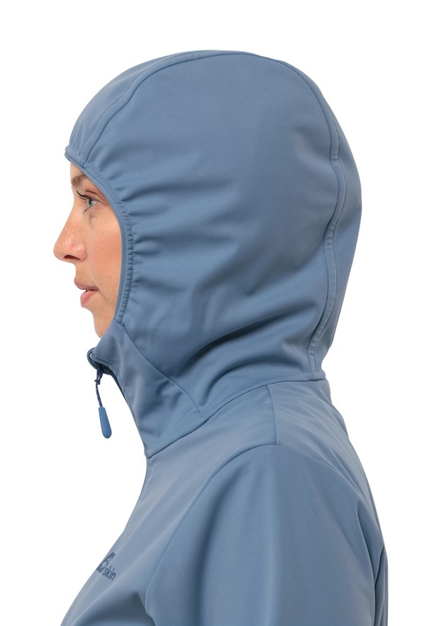 Jack Wolfskin Feldberg Hoody Softshell Jas Dames Blauw | 18731724
