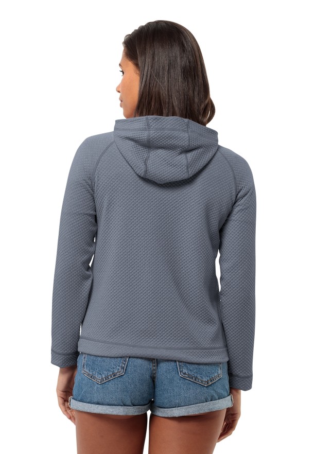 Jack Wolfskin Fernweh Hooded Fleece Jassen Dames Donkerblauw | 39226388