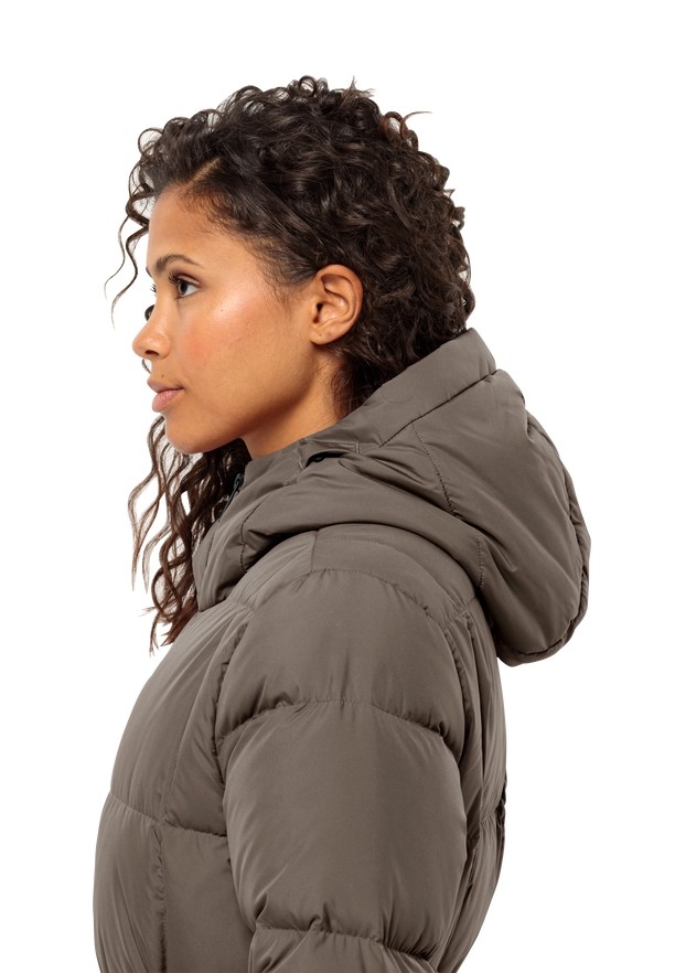 Jack Wolfskin Frozen Lake Donzen Jassen Dames Koffie | 78480391