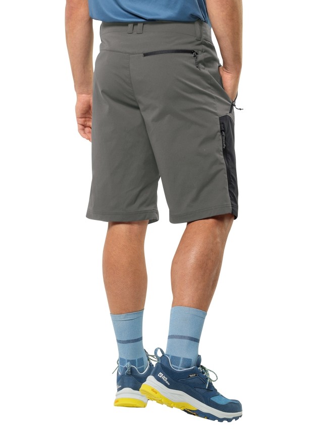 Jack Wolfskin Glastal Korte Broek Heren Grijs | 82461805