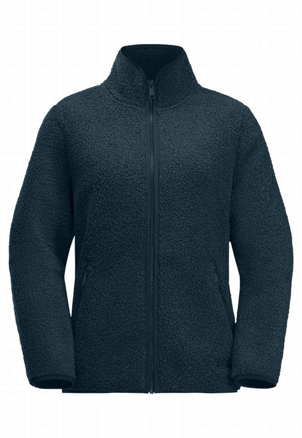 Jack Wolfskin High Curl Fleece Jassen Dames Donkerblauw | 20649363