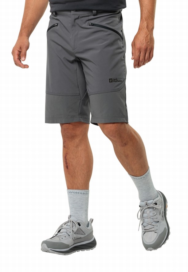 Jack Wolfskin Hiking Alpine Korte Broek Heren Grijs | 91630502