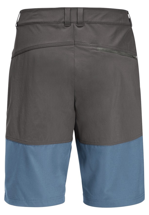 Jack Wolfskin Hiking Alpine Korte Broek Heren Blauw | 80930032