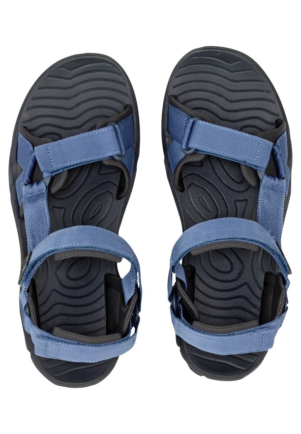 Jack Wolfskin Lakewood Ride Sandalen Heren Donkerblauw | 93792653