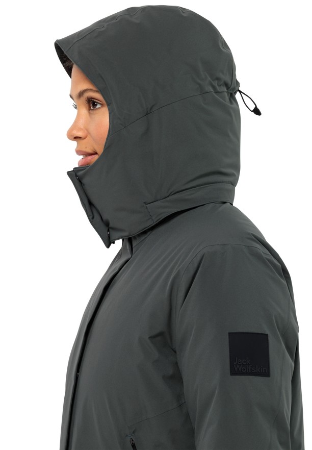 Jack Wolfskin Luisenplatz Donzen Jassen Dames Grijs | 37067501