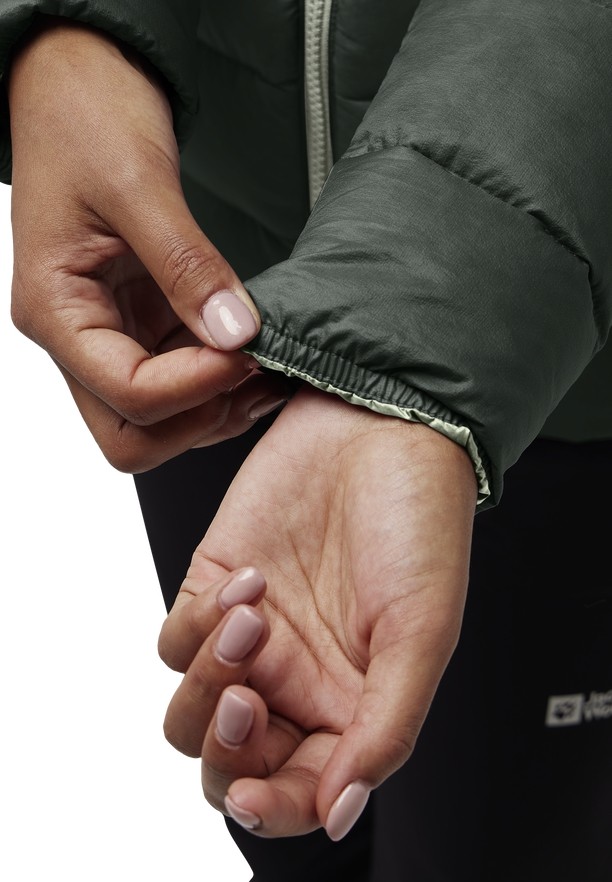 Jack Wolfskin Nebelhorn Donsjas Dames Groen | 71778257