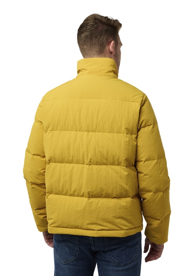 Jack Wolfskin Nordlicht Donsjas Heren Geel | 95220741