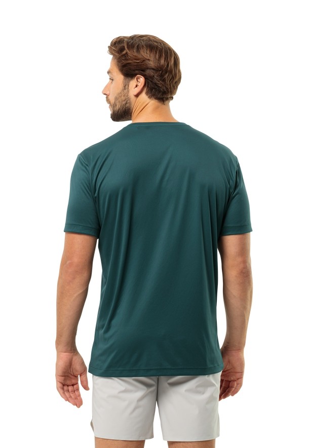 Jack Wolfskin Peak Graphic T-shirts Heren Turquoise | 93249798