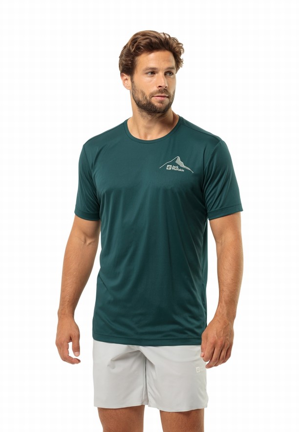 Jack Wolfskin Peak Graphic T-shirts Heren Turquoise | 93249798