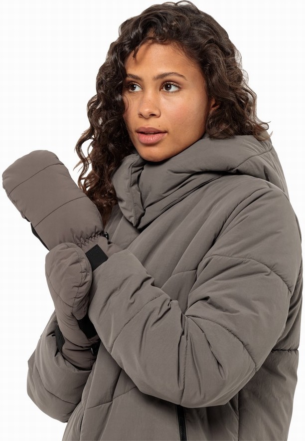 Jack Wolfskin Roemertor Wanten Dames Koffie | 69189198
