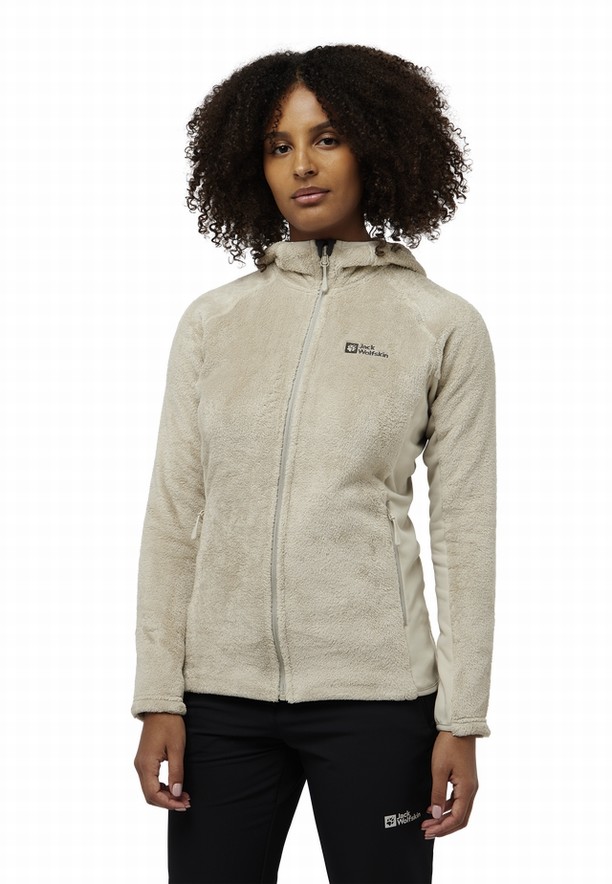 Jack Wolfskin Rotwand Hooded Fz Fleece Jassen Dames Grijs | 70809657