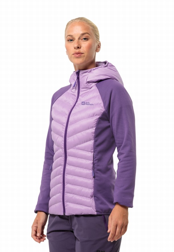 Jack Wolfskin Routeburn Pro Hybrid Jassen Dames Paars | 83610197