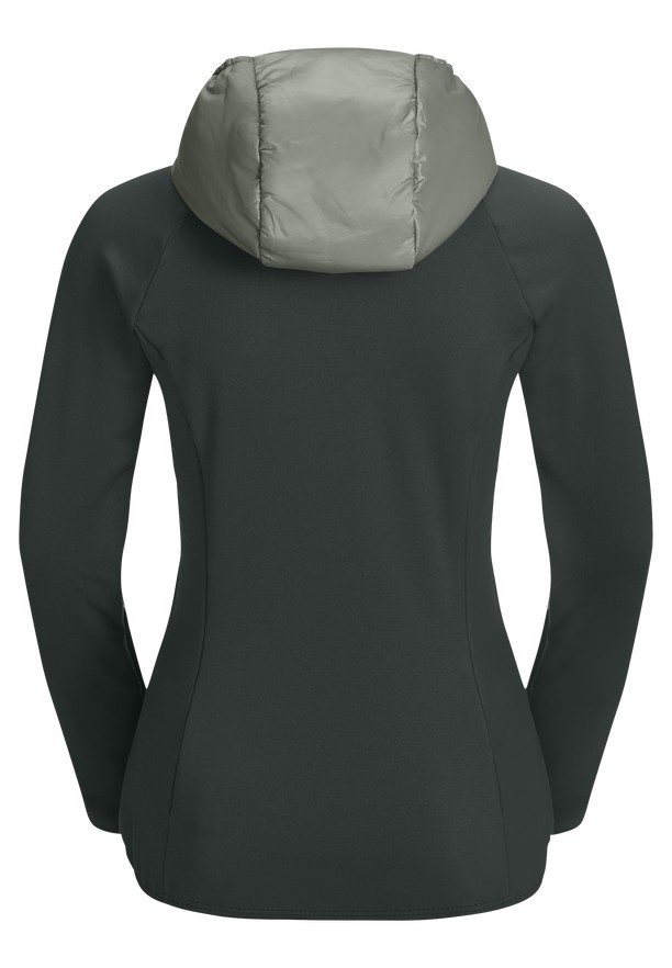 Jack Wolfskin Routeburn Pro Hybrid Jassen Dames Grijs | 77580208