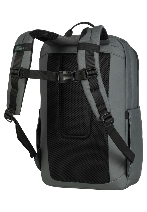 Jack Wolfskin Smileyworld Dagrugzak Dames Grijs | 68763159