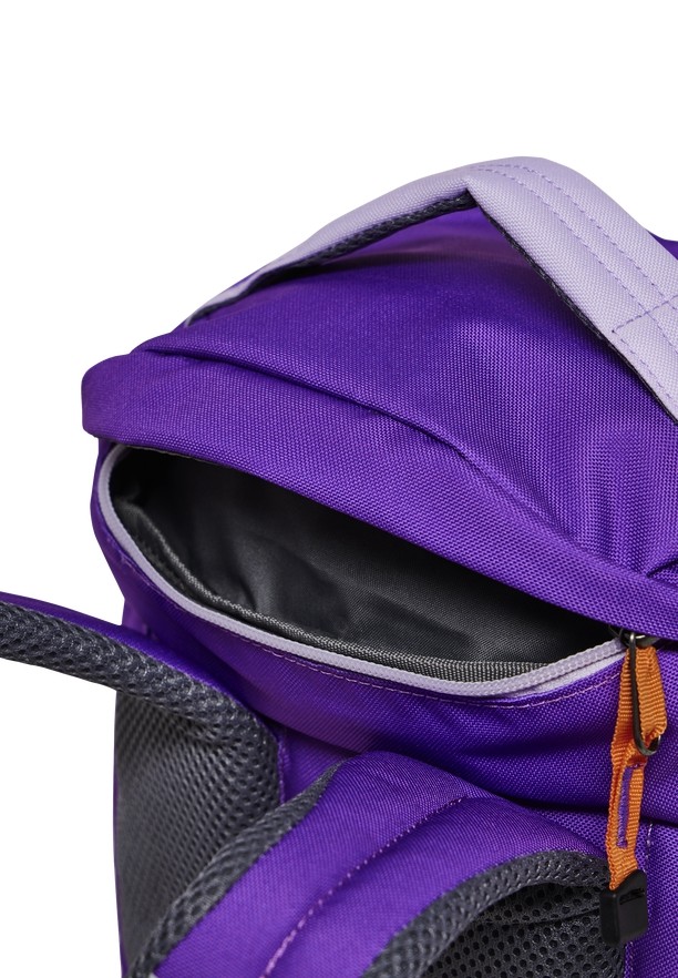 Jack Wolfskin Waldspieler 16 Rugzakken Heren Roze | 75990479