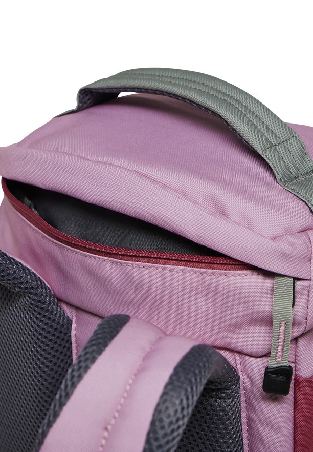 Jack Wolfskin Waldspieler 20 Rugzakken Heren Roze | 21414266