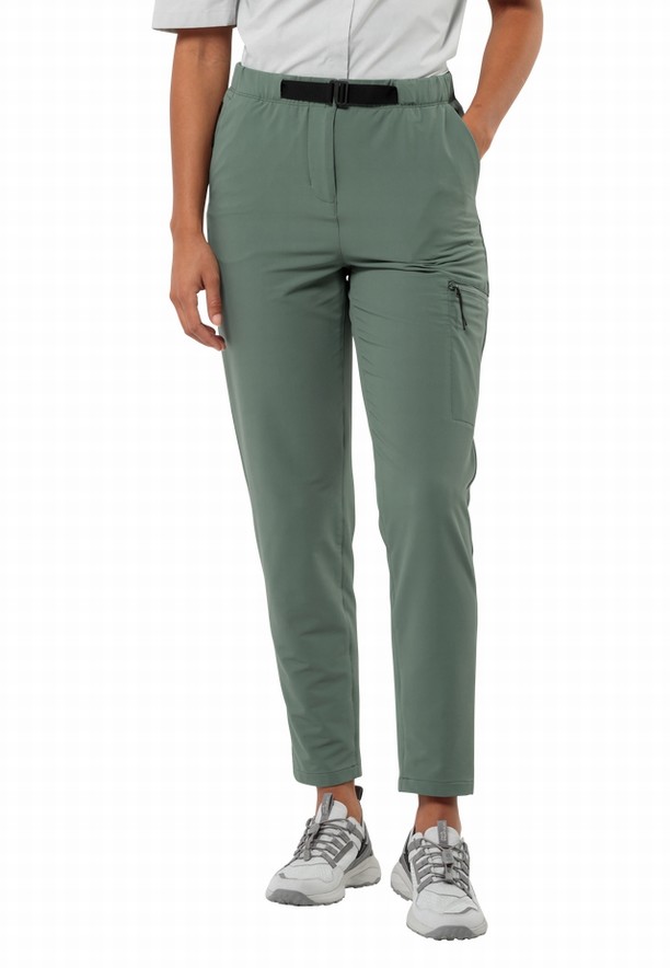 Jack Wolfskin Wandermood Wandelbroeken Dames Groen | 24889127