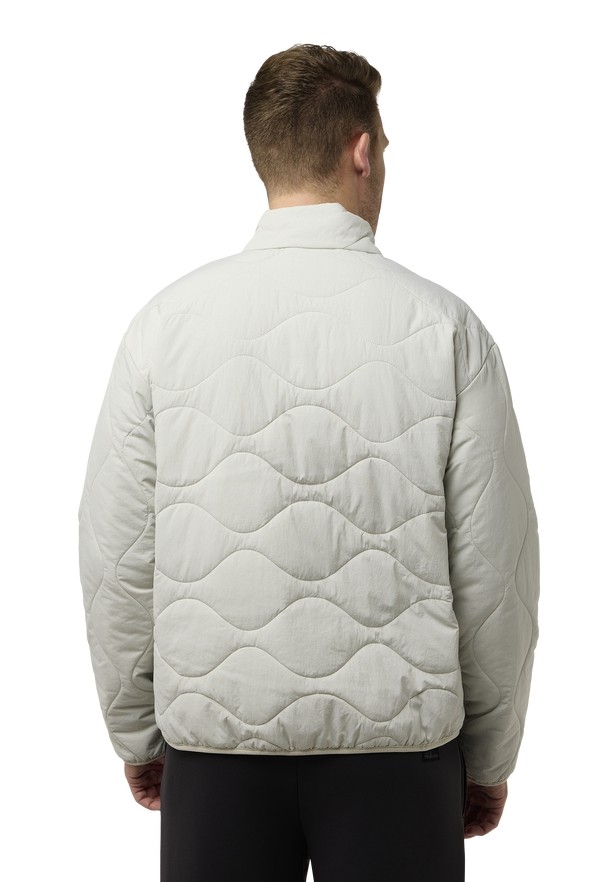 Jack Wolfskin Wandersome Ins Jassen Heren Grijs | 54070718