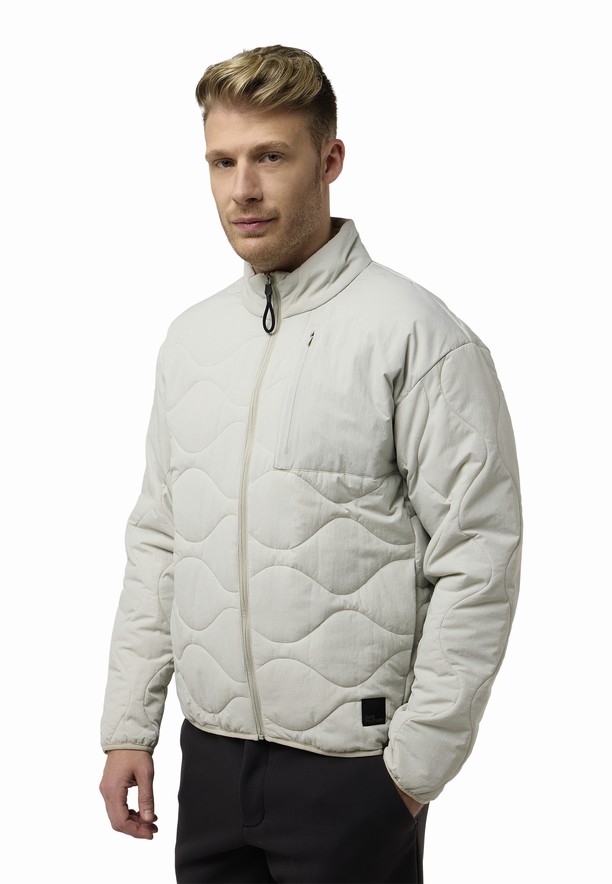 Jack Wolfskin Wandersome Ins Jassen Heren Grijs | 54070718
