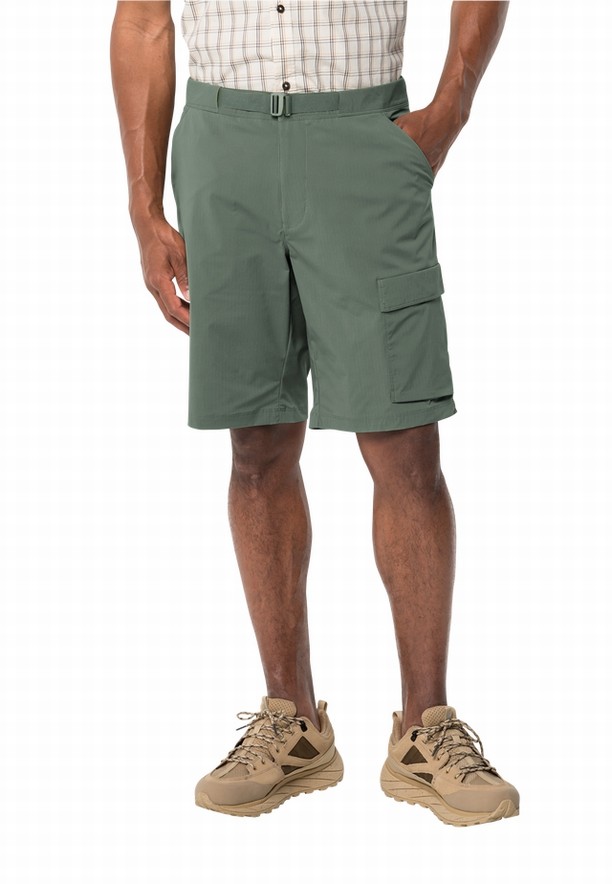 Jack Wolfskin Wanderthirst Korte Broek Heren Groen | 61312733